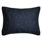 Donna Sharp Bear Campfire 140TC Quilt Set - image 4