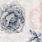 Petite Ruby Rd. Jetsetter Floral Stamp Front Knot Blouse - image 6