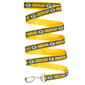 NFL Green Bay Packers Dog Leash - image 1