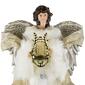 Northlight Seasonal 18in. Angel Christmas Tree Topper - image 5