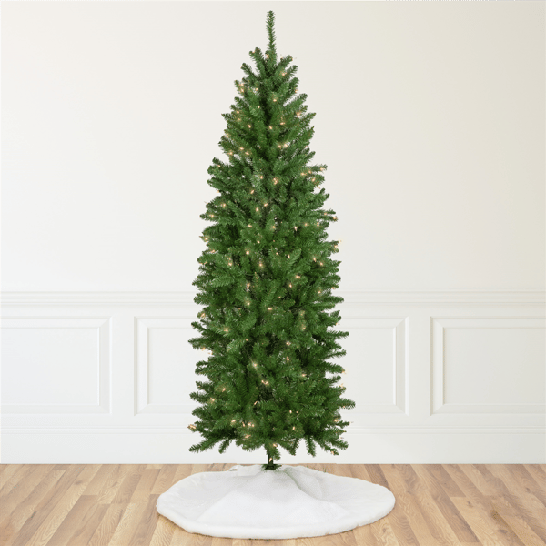 Northlight 12ft. Pencil White River Fir Christmas Tree - image 
