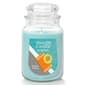 Yankee Candle 22oz By The Pool - Amber & Coconut Jar Candle - image 1