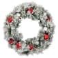 Northlight Seasonal 24in. Pre-Lit Snowy Pine Christmas Wreath - image 1