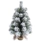Small Snow Colorado Tree with Burlap Stand - image 1