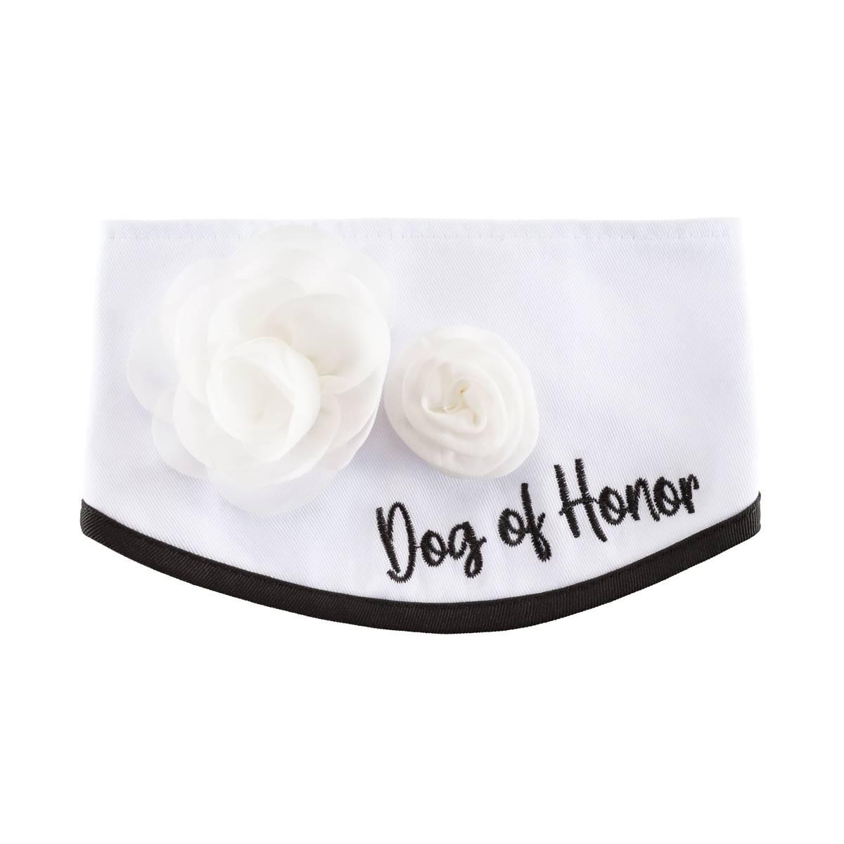 Best Furry Friends Classic Floral Pet Collar