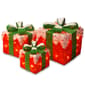 National Tree Pre-Lit Red Sisal Gift Box Assortment - image 1