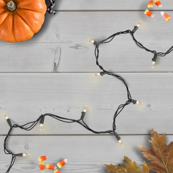 Northlight Seasonal 50ct. 16.25ft. Mini Christmas Light Set