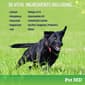 Pet MD 5-in-1 MultiVitamin Soft Chews for Dogs - 120 Count - image 4