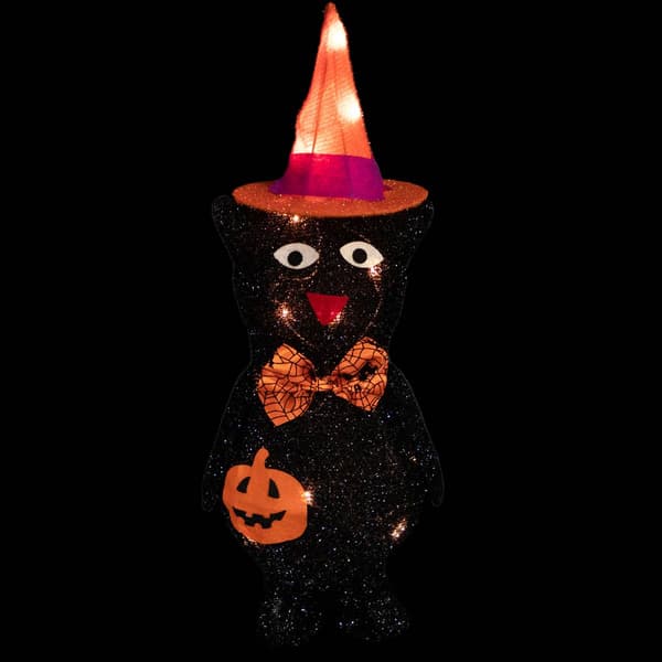 Northlight Seasonal 24in. Black Cat in Witch's Hat Yard Decor