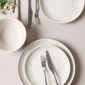 Stone Lain Dua 4pc. Stoneware Dinner Plate Set - image 3
