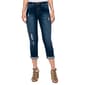 Plus Size Skye's The Limit Essentials Distressed Boyfriend Jeans - image 1