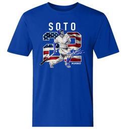 Mens New York Baseball Juan Soto American Flag 22 Tee