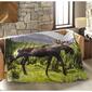 Shavel Home Products High Pile Moose Oversized Luxury Throw - image 2