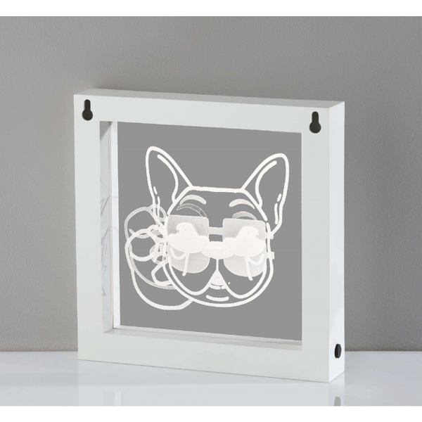 Simplee Adesso Cool Dog Video Light Box