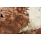 9th & Pike&#174; Brown & Ivory Faux Cowhide Area Rug - image 2