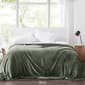 Cannon Solid Plush Blanket - image 2