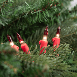 Northlight 20.25ft. Clear with Red Tips Mini Christmas Light Set