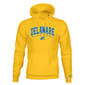 Mens TSI Delaware School Pride Hoodie - image 1