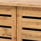 Baxton Studio Adalwin Oak Brown Wood 2-Door Shoe Storage Cabinet - image 5