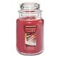 Yankee Candle(R) 22oz. Sparkling Cinnamon Jar Candle - image 1