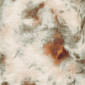 Womens Skye’s the Limit Key Items Elbow Sleeve Tie Dye Blouse - image 6