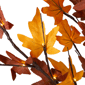Northlight LED Artificial Maple Fall Harvest Tree - image 3