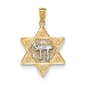 Unisex Gold Classics&#40;tm&#41; 14kt. Two Tone Star of David & Chai Pendant - image 1