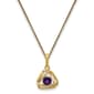 Gemstone Classics&#40;tm&#41; 14kt. Yellow Gold Amethyst Pendant Necklace - image 1