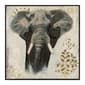 Artisan Home Wildlife II Elephant Canvas Wall Decor - image 1