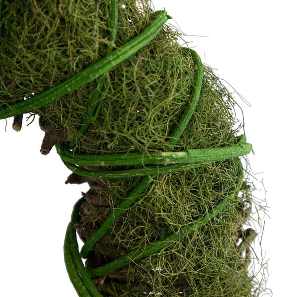 Northlight Seasonal Artificial Moss & Vine Spring Twig Wreath