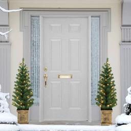 Puleo International 3.5ft. Battery Operated Set of 2 Potted Trees