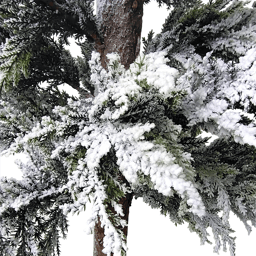 Northlight 35.25in. Heavily Flocked Pine Christmas Tree