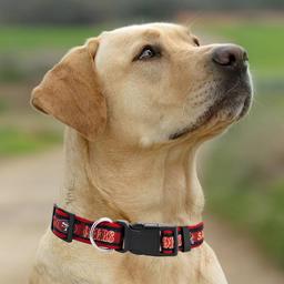 NFL San Francisco 49ers Dog Collar