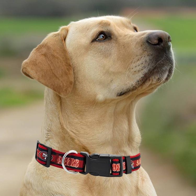 NFL San Francisco 49ers Dog Collar
