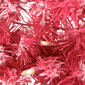Northlight Pre-Lit Flocked Pink Artificial Christmas Wreath - image 5