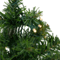 Northlight 2ft. Pre-Lit Medium Mixed Classic Pine Christmas Tree - image 6