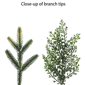 Puleo International 6ft. Pre-Lit Adorned Garland - image 6