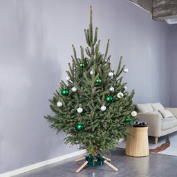 Northlight Seasonal Metal & Wood Live Christmas Tree Stand