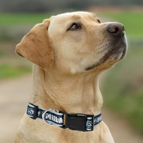 NFL Philadelphia Eagles Dog Collar