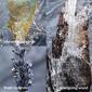 Rabanne Invictus Platinum Eau de Parfum Gift Set - $208 Value - image 3