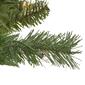 Northlight Seasonal 6.5ft. Pre-Lit Chatham Pine Christmas Tree - image 2