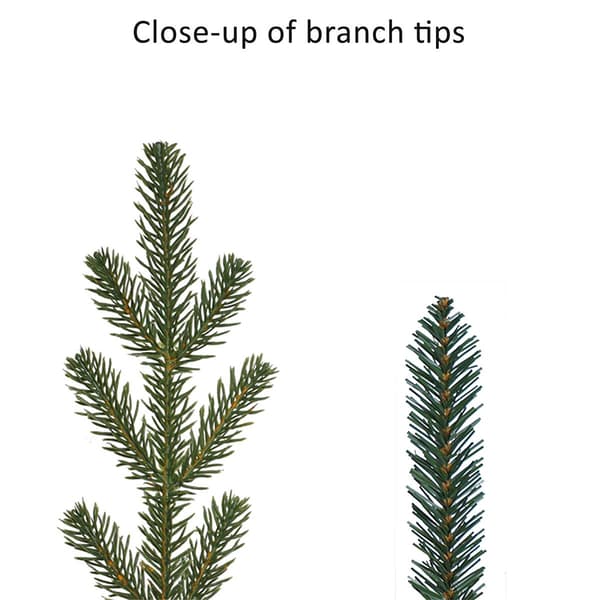 Puleo International 7.5ft. Pre-Lit Utah Fir Christmas Tree