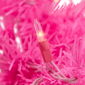 Northlight 9ft. Pink Pine Christmas Garland - image 6