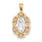 Gold Classics(tm) Two Tone & Rhodium Guadalupe Pendant - image 1