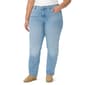 Plus Size Gloria Vanderbilt Amanda Average Jeans - Appleton - image 1