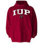 Mens Indiana University Of Pennsylvania Mascot One Hoodie - image 1