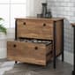 Sauder Station House 2-Drawer Lateral File Cabinet - image 3