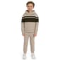 Boys &#40;4-7&#41; Champion&#174; Pieced Hoodie & Tapered Jogger Set - Sand - image 2