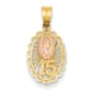 Gold Classics(tm) 14kt. Two-Tone Guadalupe Pendant - image 1