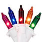 Northlight Seasonal 5ft. 20ct. Multi-Color Mini Christmas Lights - image 1